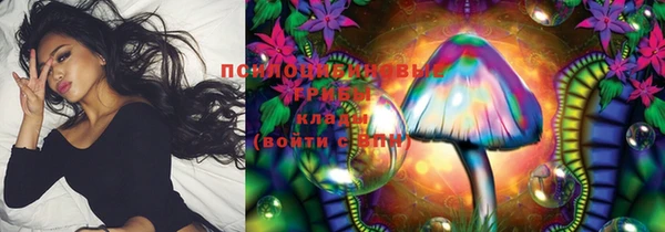 ГАЛЛЮЦИНОГЕННЫЕ ГРИБЫ Вяземский