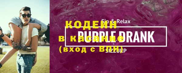 ГАЛЛЮЦИНОГЕННЫЕ ГРИБЫ Вяземский